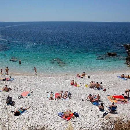 Jela * Pula